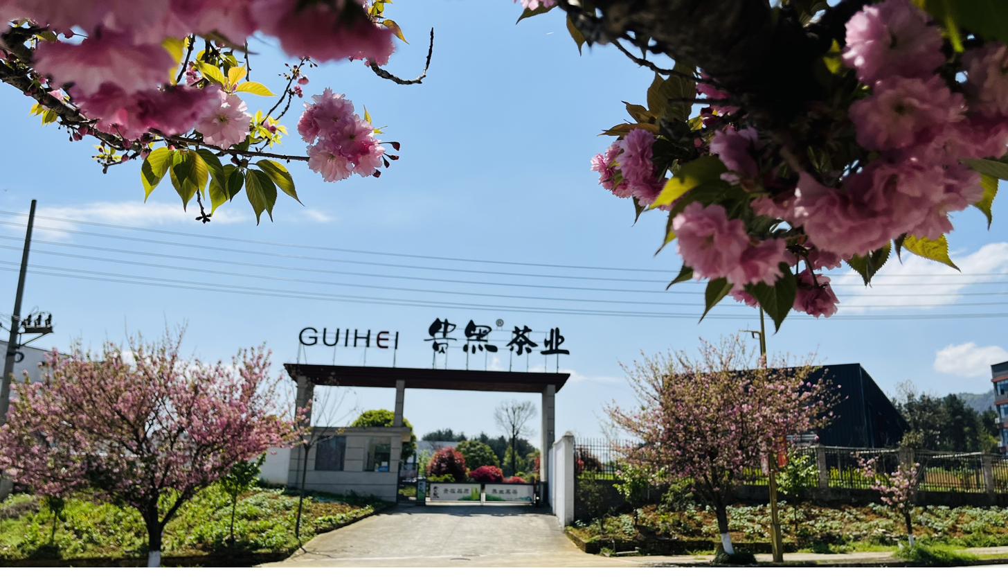 贵州贵黑茶业有限公司厂区大门实景